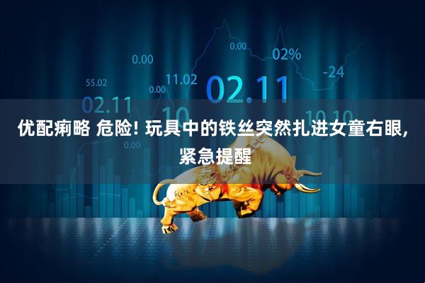 优配痢略 危险! 玩具中的铁丝突然扎进女童右眼, 紧急提醒