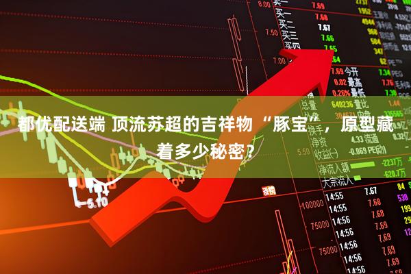 都优配送端 顶流苏超的吉祥物 “豚宝”，原型藏着多少秘密？