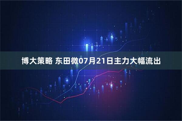 博大策略 东田微07月21日主力大幅流出