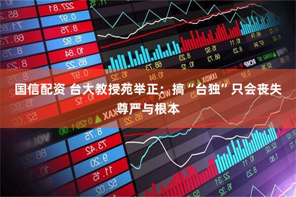 国信配资 台大教授苑举正：搞“台独”只会丧失尊严与根本