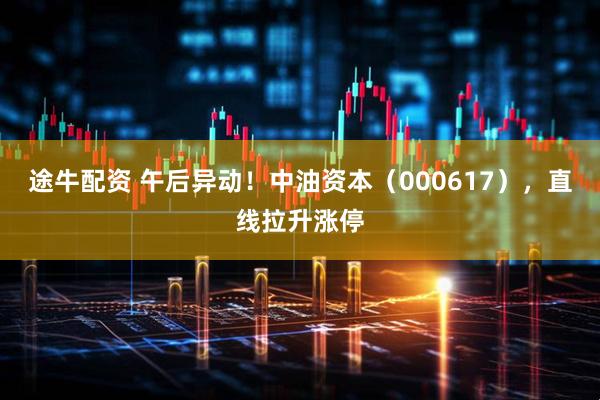 途牛配资 午后异动！中油资本（000617），直线拉升涨停